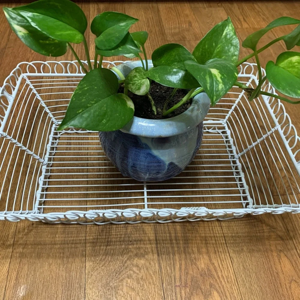 Vintage wire coated white tray/basket